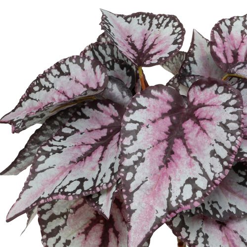Floristik24 Kunstig begonia busk Bordeaux 37cm