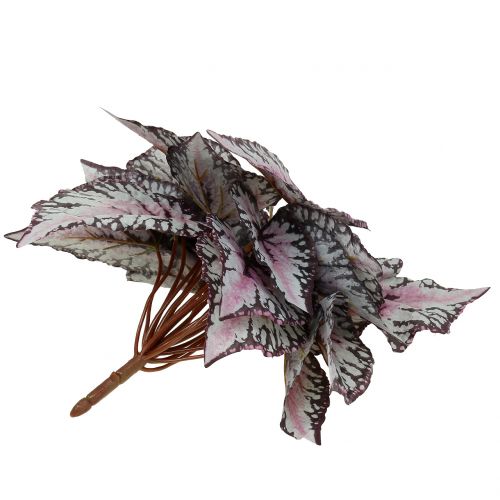 Floristik24 Kunstig begonia busk Bordeaux 37cm