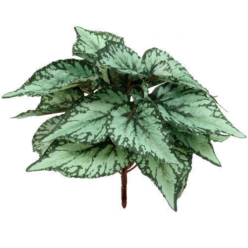 Floristik24 Kunstig begonia busk kunstig plante grøn 34cm