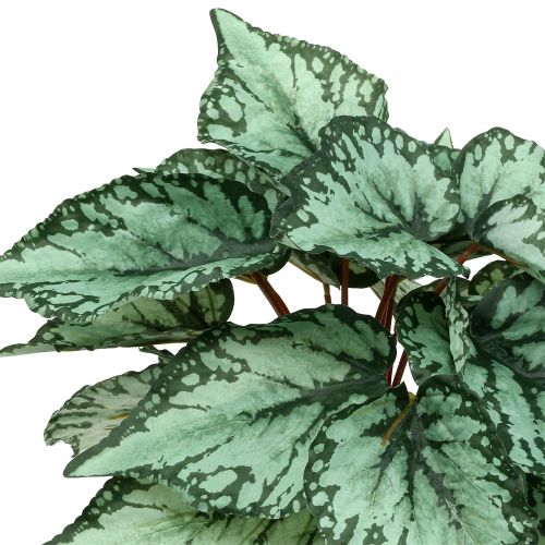 Floristik24 Kunstig begonia busk kunstig plante grøn 34cm