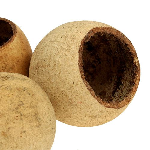 Artikel Klokkekop lille natur 25 stk