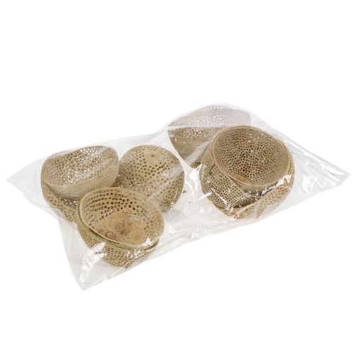 Artikel Tørret frugt Klokkekop Naturlig sørgedekoration 8,5-11cm 10 stk