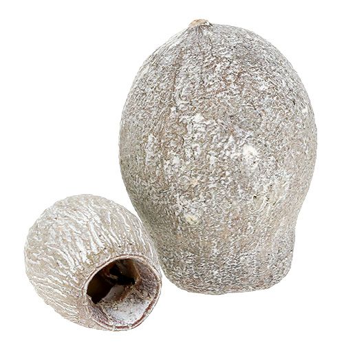 Artikel Bellgums hvidkalkede 2cm - 5cm 500g