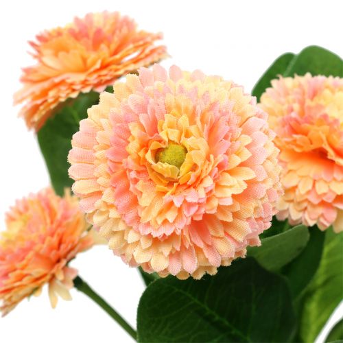 Floristik24 Daisy kunstfersken farvet 24cm 2stk
