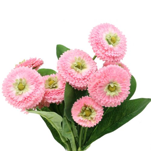 Floristik24 Bellis bund lyserød 24 cm 2stk