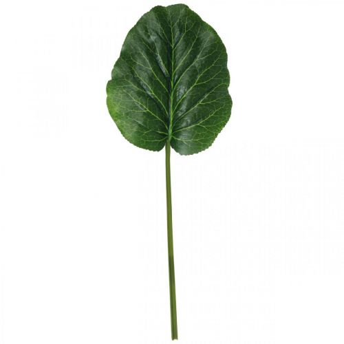 Artikel Kunstig Grøn Plante Bergenia Grøn Kunstig Plante 53cm