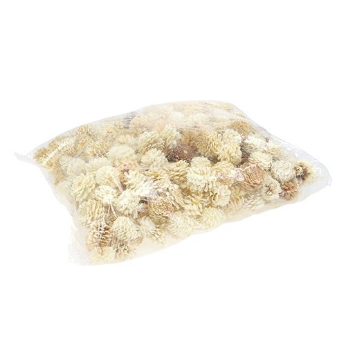 Floristik24 Bjerg fyrrekogler små bleget 3,5-5cm 1kg