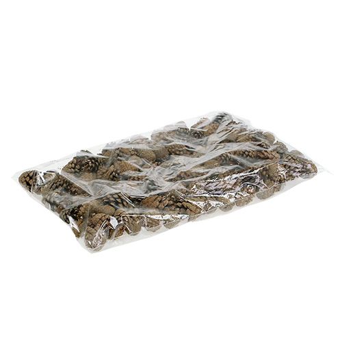 Floristik24 Bjerg fyrrekogler Fyrrekogler 2kg