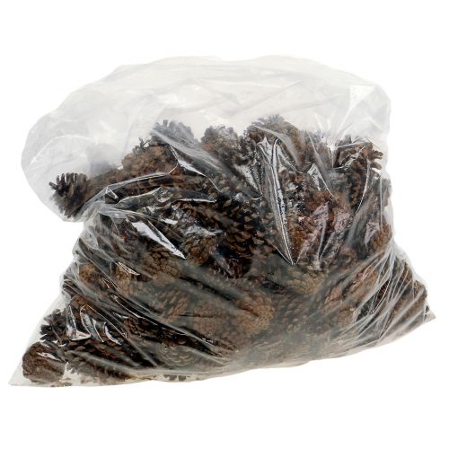 Artikel Bjerg fyrrekogler små naturlig 1kg