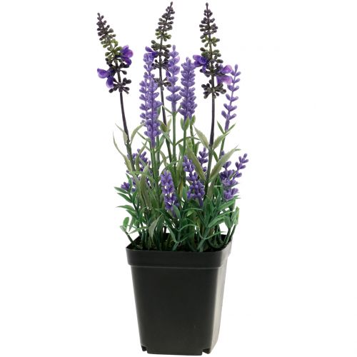 Floristik24 Kunstig lavendel i en gryde H25cm