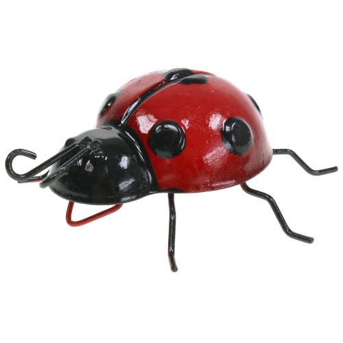 Ladybird 10cm-846519-ROT