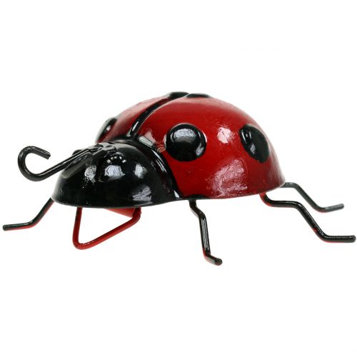 Floristik24 Ladybird 10cm