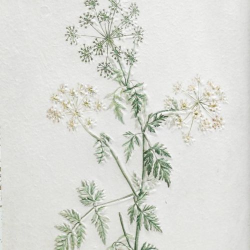 Artikel Vintage vægdekoration, billede med ramme trætørret plante 40×50cm