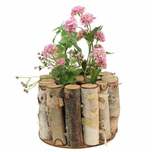 Floristik24 Birkekrukke med reagensglas natur Ø17cm H13cm