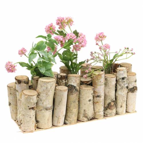Floristik24 Birkekrukke med reagensglas naturlig 32cm