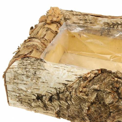 Floristik24 Planter birch 30cm x 20cm H8cm