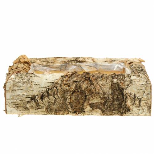 Floristik24 Planter birch 30cm x 20cm H8cm