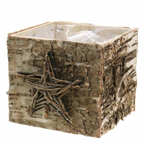 Floristik24 Plante potte birkekrukke med stjerne H15,5cm