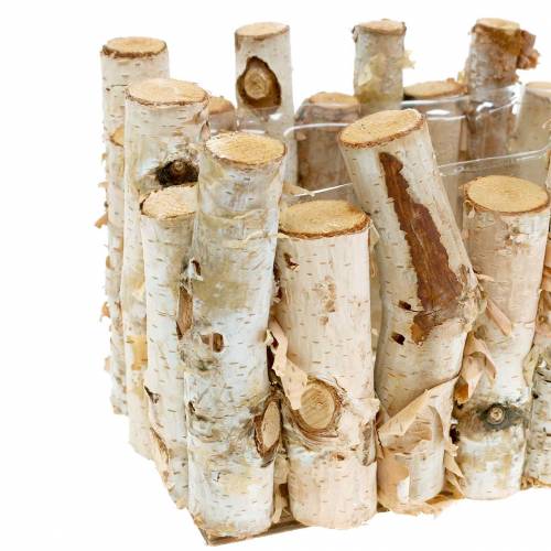 Floristik24 Birkeplanter 20cm x 11cm