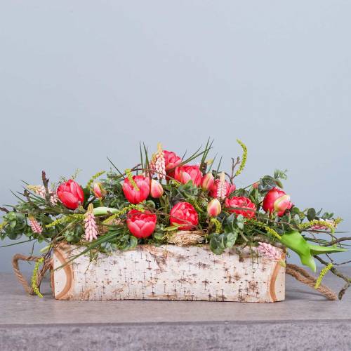 Floristik24 Plantekasse birk med rebhåndtag 38x16cm H9cm