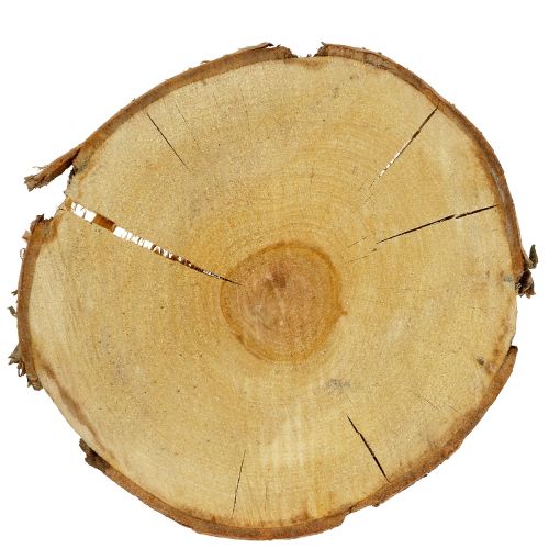 Floristik24 Birkeskive naturlig Ø30cm - 35cm