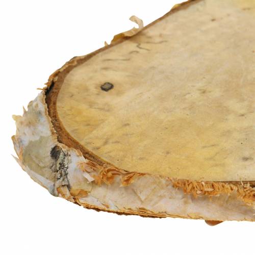 Floristik24 Træskiver birk oval natur 7,5 × 13cm 1kg
