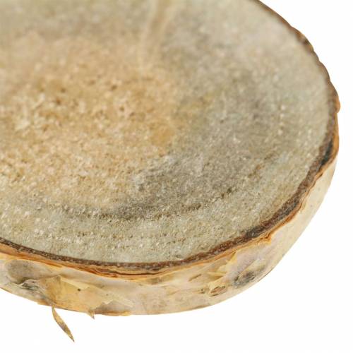 Floristik24 Birkeskiver rund natur 5cm 1kg til dekoration med bark