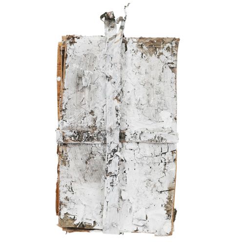 Floristik24 Barkskiver 20cm x 12cm hvide, vasket 8 stk