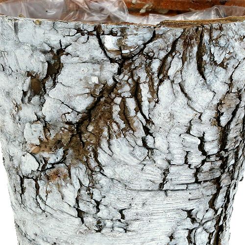 Artikel Birkepotte lille plantekasse birk hvid Ø10cm H8,5cm 6 stk