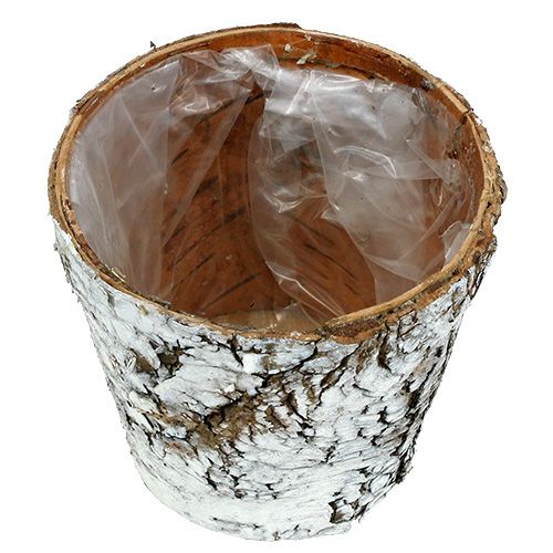 Artikel Birkepotte lille plantekasse birk hvid Ø10cm H8,5cm 6 stk