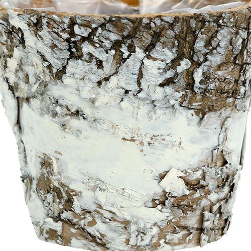 Artikel Birkepotte mini hvid plantepottepotte Ø7cm H7cm 10stk