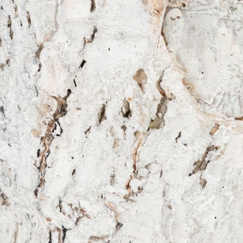 Artikel Blomsterpotte med bark-look, ideel til rustik indretning og plantedekoration, 12 cm, 4 stk.