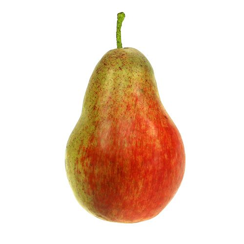 Floristik24 Pærerød, grøn 11cm - 12cm 3stk