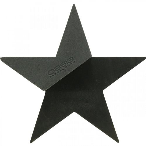 Floristik24 OASIS® Sort Bioline® Floral Foam Star Sort H30cm 2stk