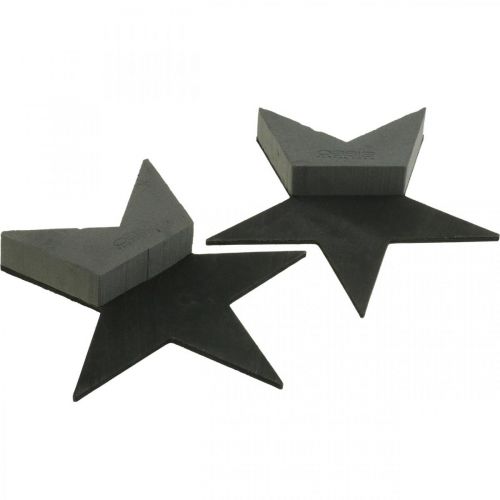 Artikel OASIS® Sort Bioline® Floral Foam Star Sort H30cm 2 stk