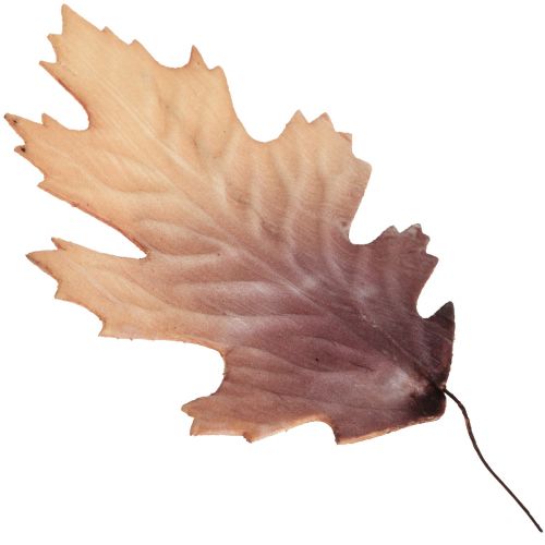 Floristik24 Røde egeblad efterårsblade deco blade deco 13×19cm 12stk