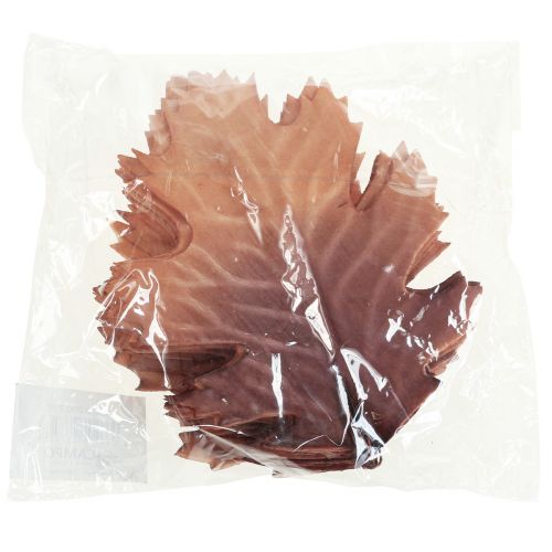 Floristik24 Røde egeblad efterårsblade deco blade deco 13×19cm 12stk