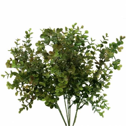 Floristik24 Boxwood dekorativ gren grøn 40cm