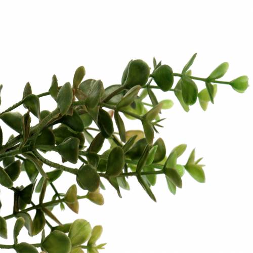 Floristik24 Boxwood dekorativ gren grøn 40cm