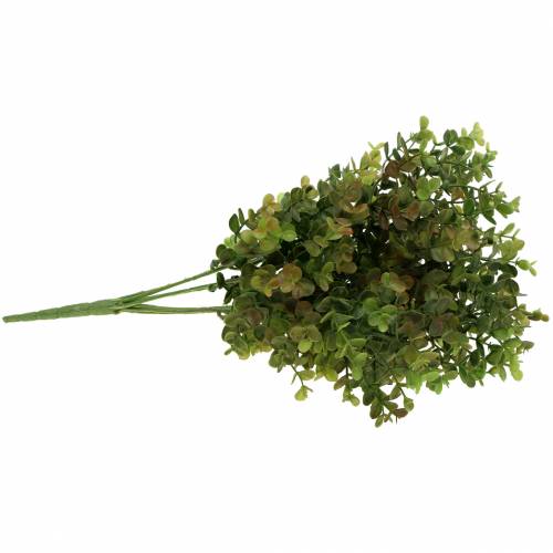 Floristik24 Boxwood dekorativ gren grøn 40cm