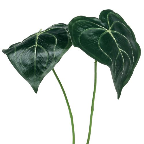 Floristik24 Caladium blad 32cm 2stk