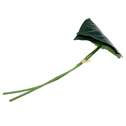 Floristik24 Caladium blad 32cm 2stk