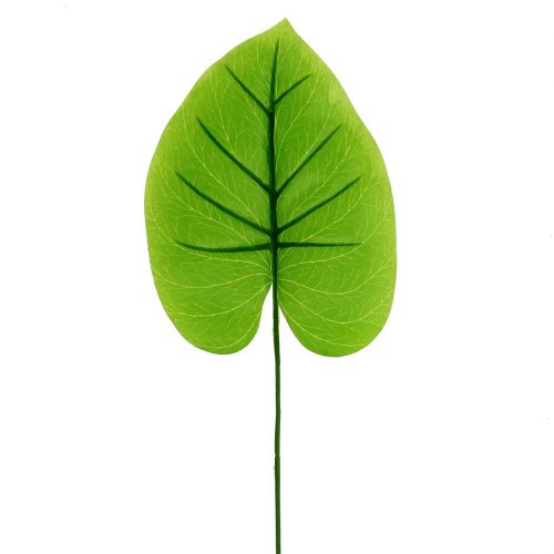 Floristik24 Dekorativt blad Funkie, Hosta 40cm 5stk