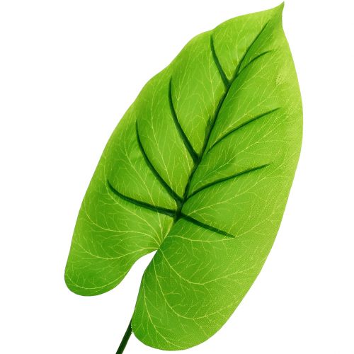 Floristik24 Dekorativt blad Funkie, Hosta 40cm 5stk