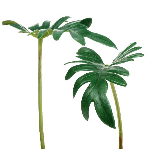 Artikel Blad Philodendron 31cm Grøn 12 stk