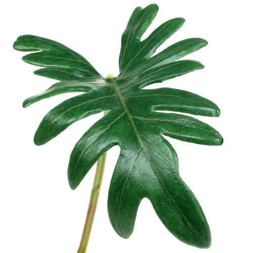 Artikel Philodendron blad 31cm grøn 12stk