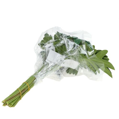 Artikel Blad Philodendron 31cm Grøn 12 stk
