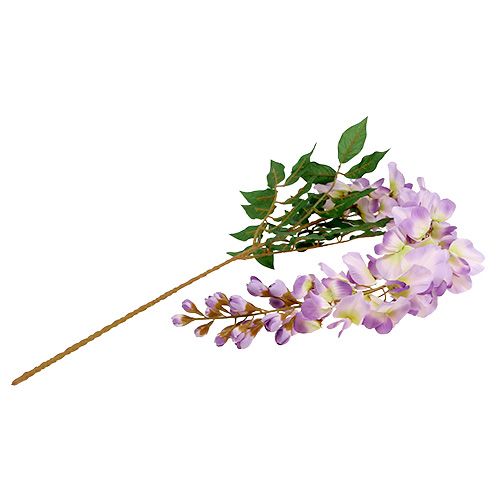 Floristik24 Wisteria wisteria L104cm