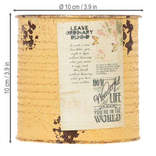 Artikel Dekorativ blikdåse abrikos metalplantepotte Ø11cm H10,5cm