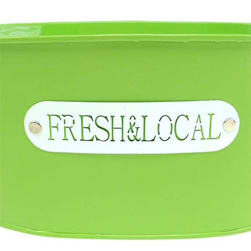 Floristik24 Blikskål oval grøn 22cm x 15cm H10cm